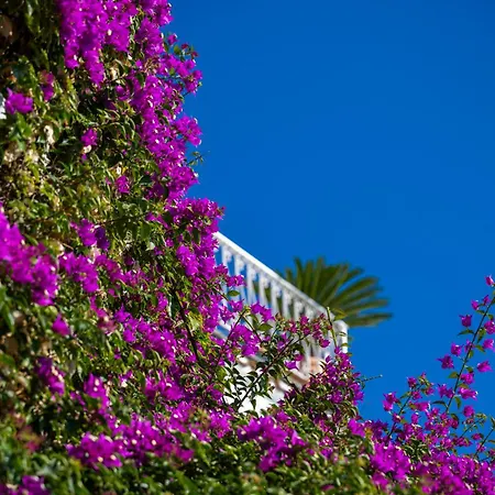 Casetta Arienzo פוזיטנו